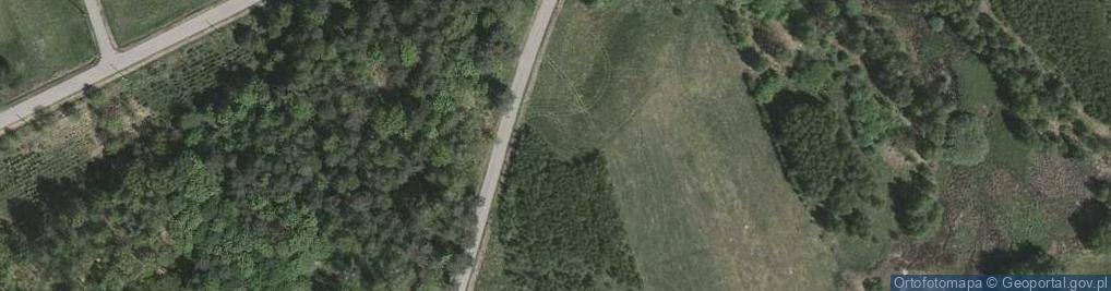 Zdjęcie satelitarne Niwa ul.