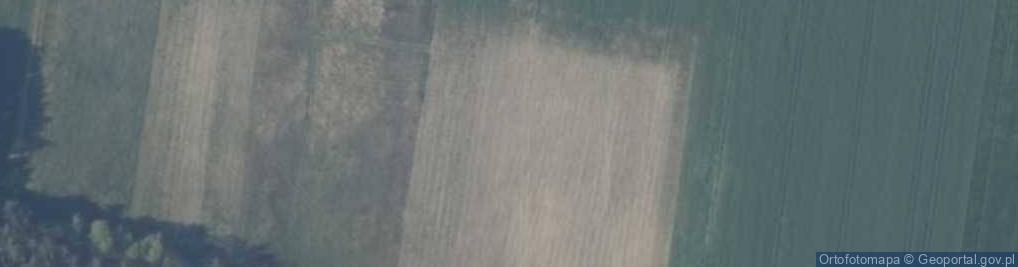 Zdjęcie satelitarne Niezapominajki ul.