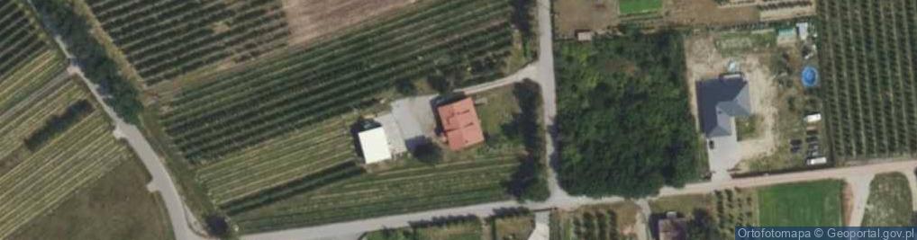 Zdjęcie satelitarne Niezapominajki ul.