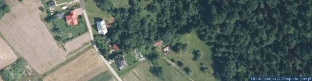 Zdjęcie satelitarne Niwki ul.