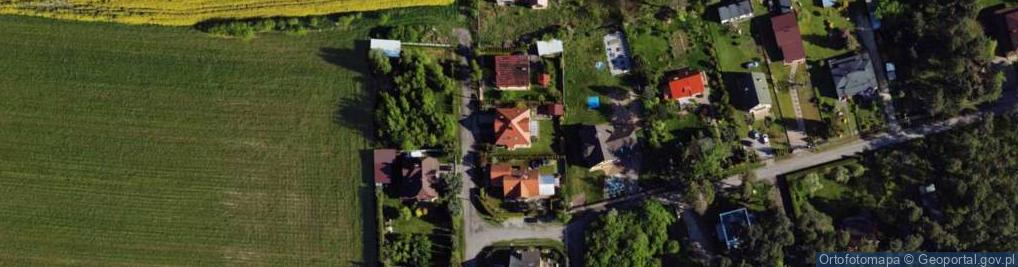 Zdjęcie satelitarne Niska ul.