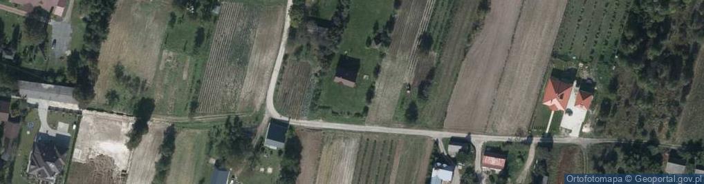 Zdjęcie satelitarne Niwa ul.