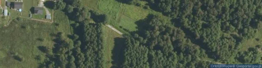 Zdjęcie satelitarne Niwa ul.