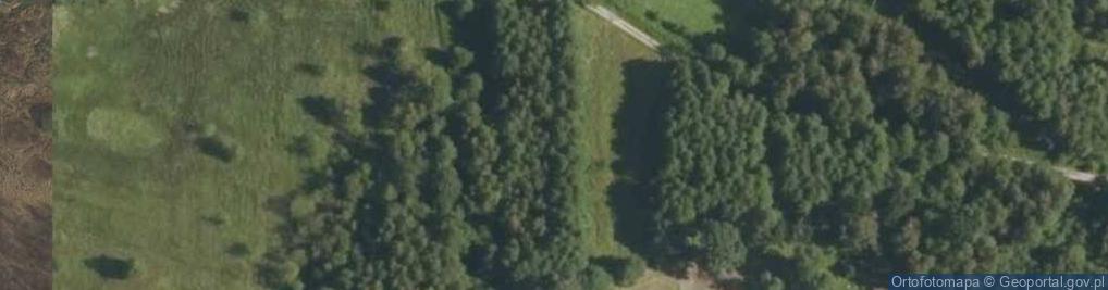 Zdjęcie satelitarne Niwa ul.
