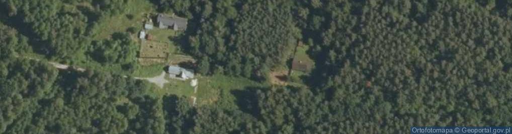 Zdjęcie satelitarne Niwa ul.