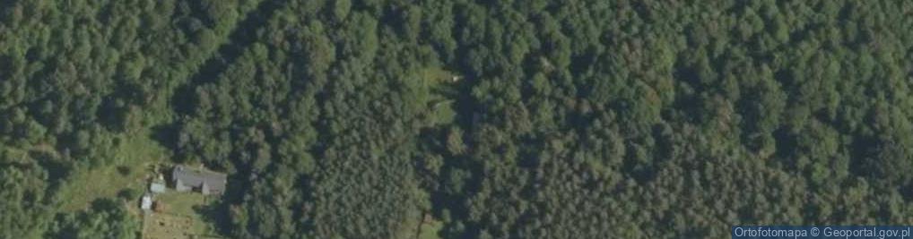 Zdjęcie satelitarne Niwa ul.