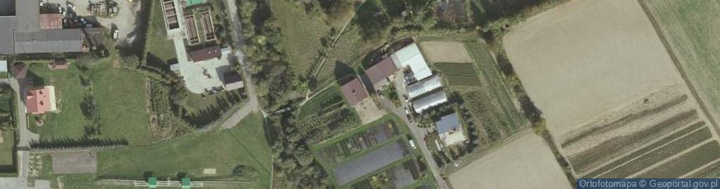 Zdjęcie satelitarne Niebylec ul.