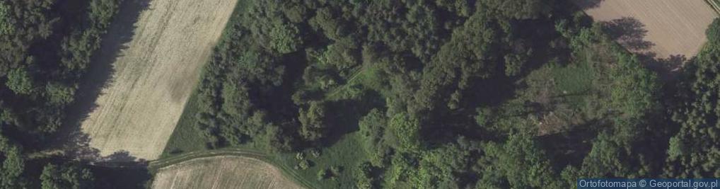 Zdjęcie satelitarne Nielisz ul.