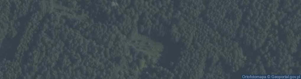 Zdjęcie satelitarne Niemgłowy ul.