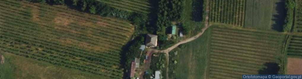 Zdjęcie satelitarne Niemirowice ul.