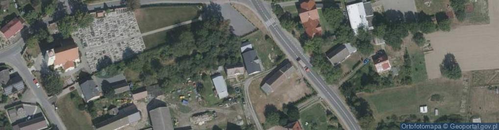 Zdjęcie satelitarne Niemysłowice ul.