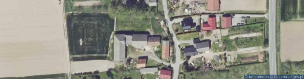 Zdjęcie satelitarne Niemysłowice ul.