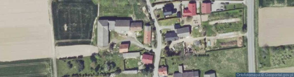 Zdjęcie satelitarne Niemysłowice ul.