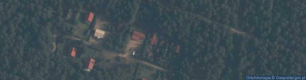 Zdjęcie satelitarne Niesiołowice ul.