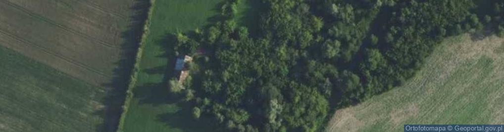 Zdjęcie satelitarne Niesłuchy ul.