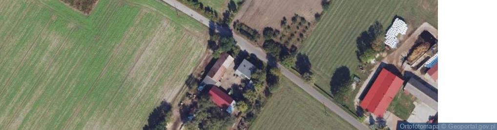 Zdjęcie satelitarne Niestuszewo ul.