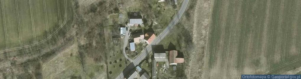 Zdjęcie satelitarne Nieszkowice ul.