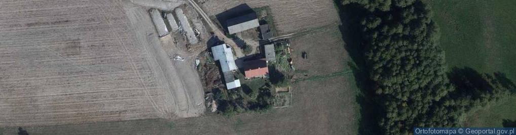Zdjęcie satelitarne Niewierz ul.