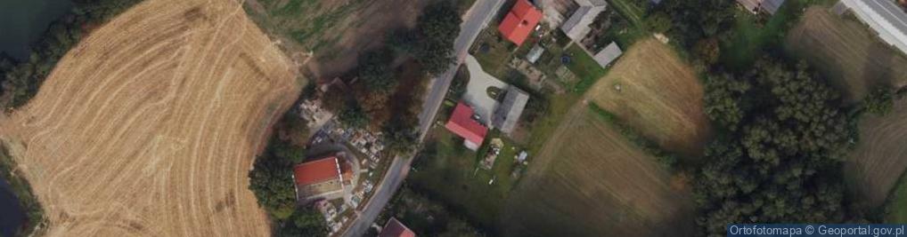 Zdjęcie satelitarne Niewieścin ul.