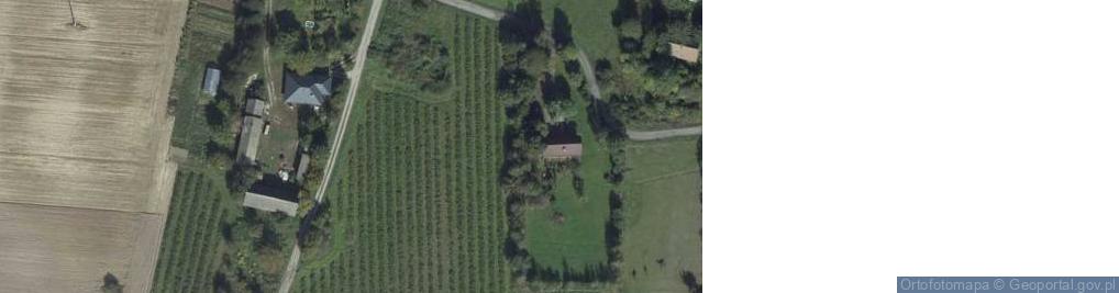 Zdjęcie satelitarne Niewirków-Kolonia ul.