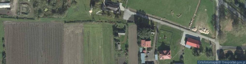 Zdjęcie satelitarne Niewirków ul.