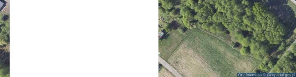 Zdjęcie satelitarne Nizinna ul.