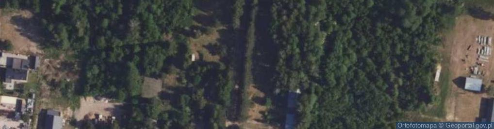 Zdjęcie satelitarne Niedźwiedzia ul.