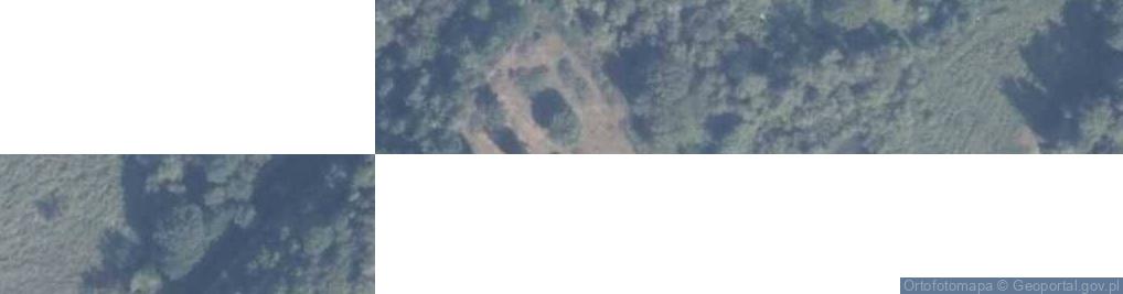 Zdjęcie satelitarne Niedźwiedzia ul.