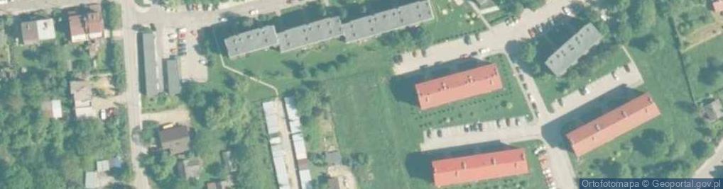 Zdjęcie satelitarne Niwy ul.