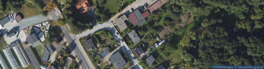 Zdjęcie satelitarne Niska ul.