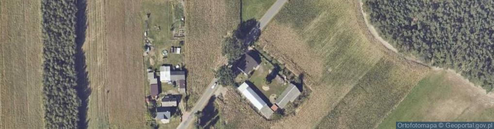 Zdjęcie satelitarne Niwna ul.