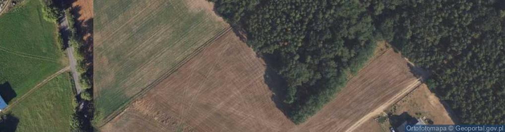 Zdjęcie satelitarne Nowy Bógpomóż ul.