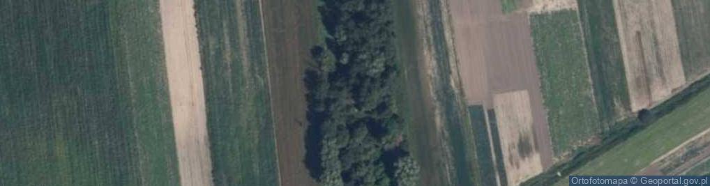 Zdjęcie satelitarne Nowowiejska ul.