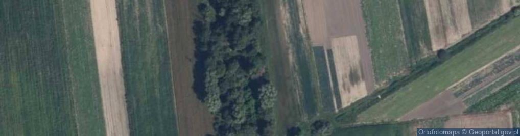 Zdjęcie satelitarne Nowowiejska ul.