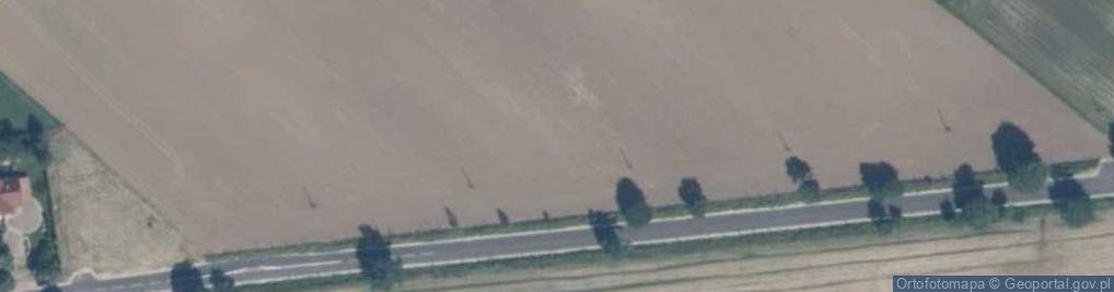 Zdjęcie satelitarne Nowomiejska ul.