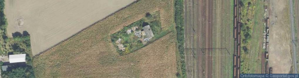 Zdjęcie satelitarne Nowa ul.