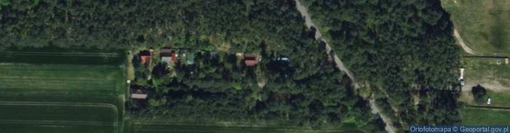 Zdjęcie satelitarne Nowa ul.