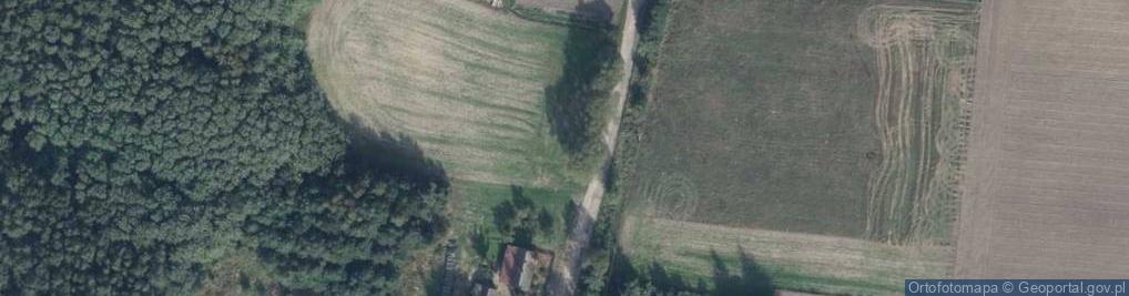 Zdjęcie satelitarne Nowodworska ul.