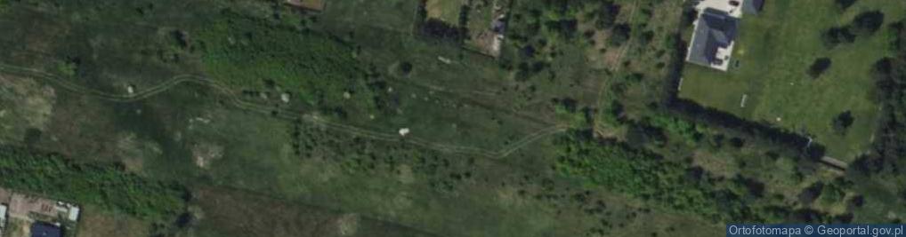 Zdjęcie satelitarne Notozaura ul.