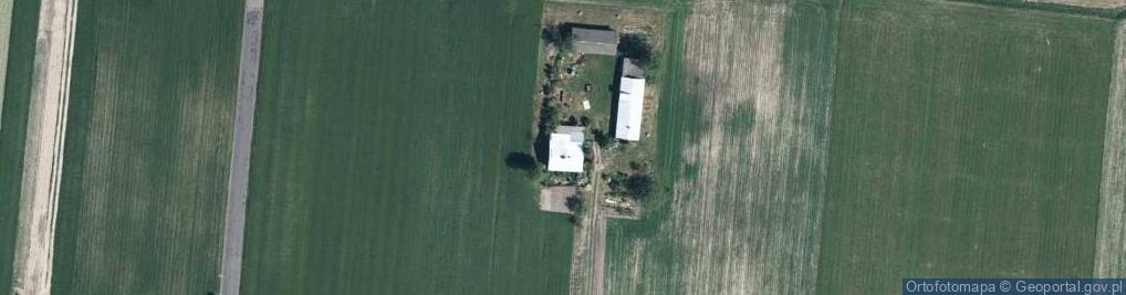 Zdjęcie satelitarne Nowa Dąbia ul.