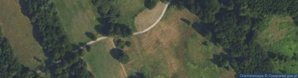 Zdjęcie satelitarne Nowa Dąbrowa ul.