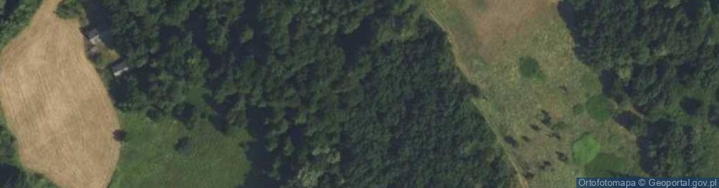 Zdjęcie satelitarne Nowa Dąbrowa ul.