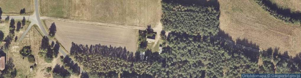 Zdjęcie satelitarne Nowa Kaźmierka ul.