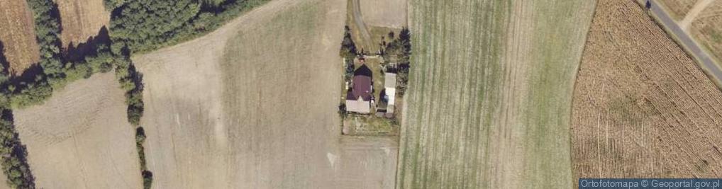 Zdjęcie satelitarne Nowa Kaźmierka ul.