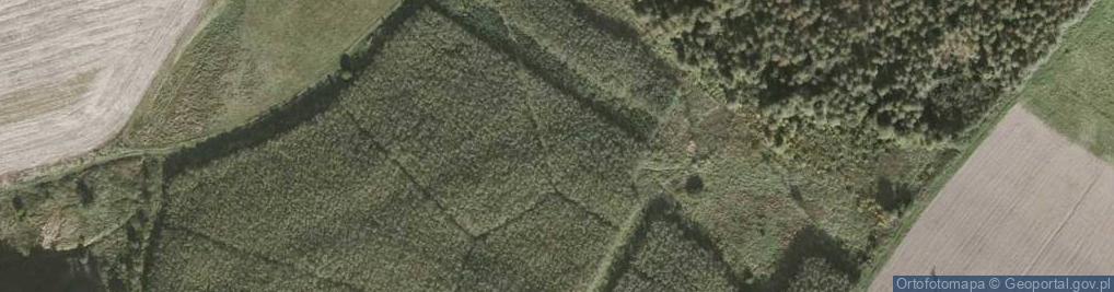 Zdjęcie satelitarne Nowa Świdnica ul.