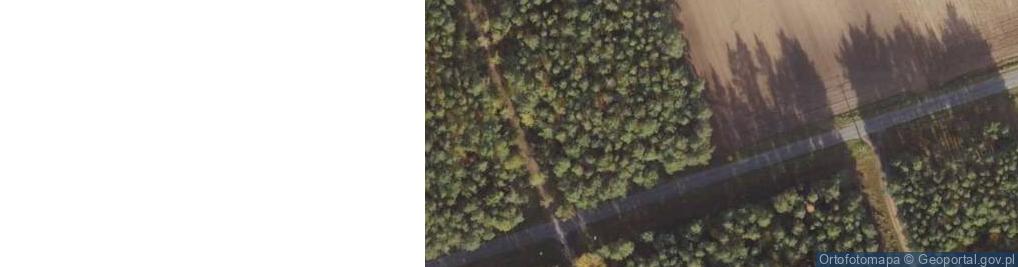 Zdjęcie satelitarne Nowa Święta ul.