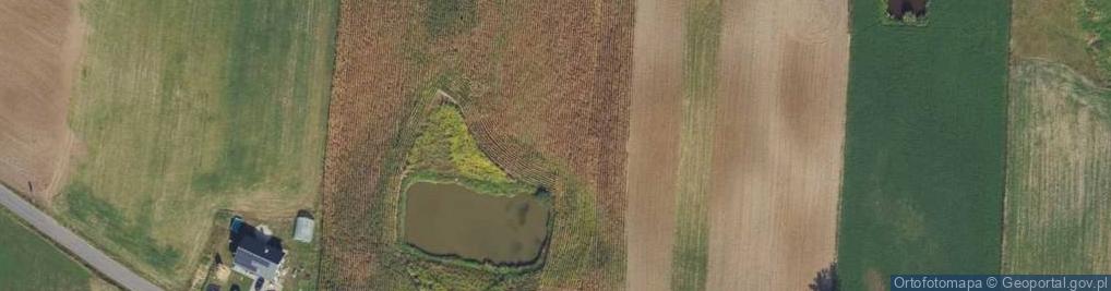 Zdjęcie satelitarne Nowa Wieś Królewska ul.