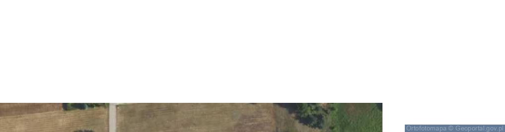 Zdjęcie satelitarne Nowa Wieś ul.