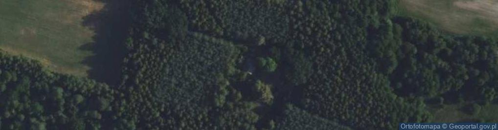 Zdjęcie satelitarne Nowa Wieś ul.