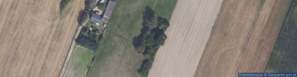 Zdjęcie satelitarne Nowa Wieś ul.